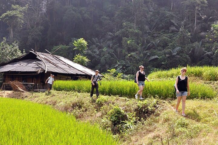 Ba Be Lake 3-Day Trek, Boat & Homestay Adventure from Hanoi photo 4