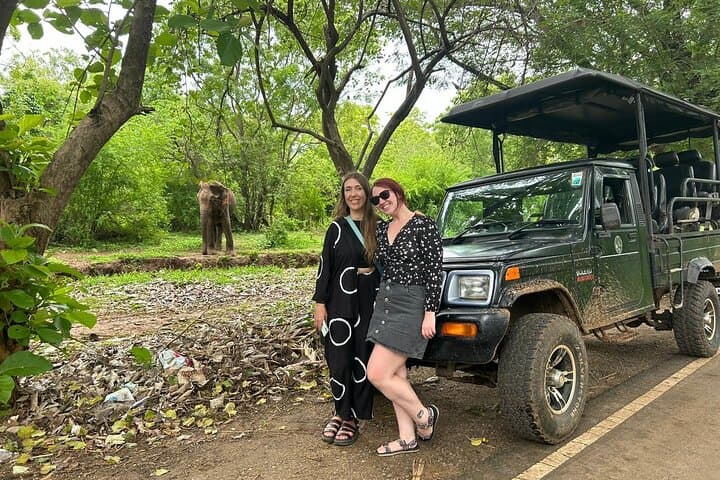 Private Udawalawe Jeep Safari — 4-Hour Elephant & Wildlife Experience photo 3