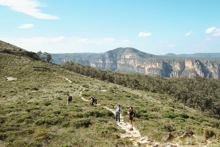Private Blue Mountains Day Tour: Waterfalls, Koalas & Iconic Views from Katoomba