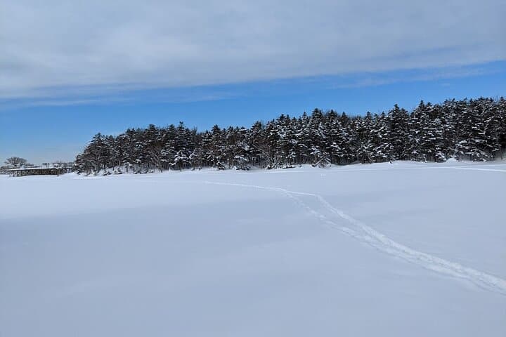 Winter Snowshoe at Shiretoko Five Lakes: Guided 4.5‑Hour Drift‑Ice Hike photo 4