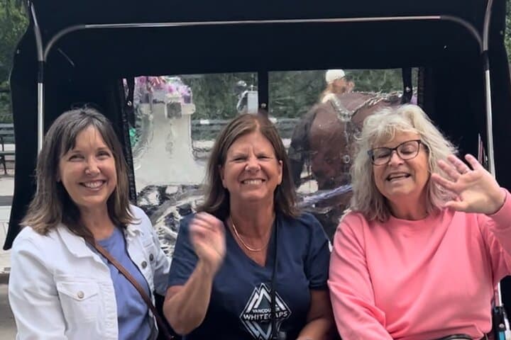 Private Central Park Pedicab Tour: Hop-On Hop-Off Highlights