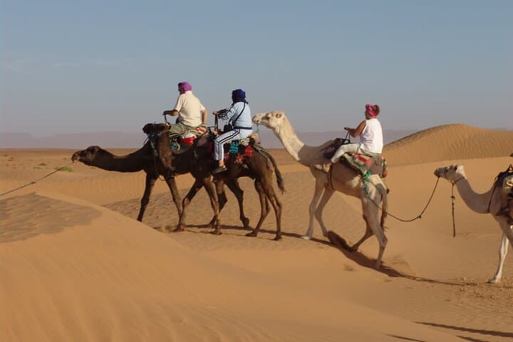 3-Hour Marsa Alam Desert Quad Bike and Camel Safari