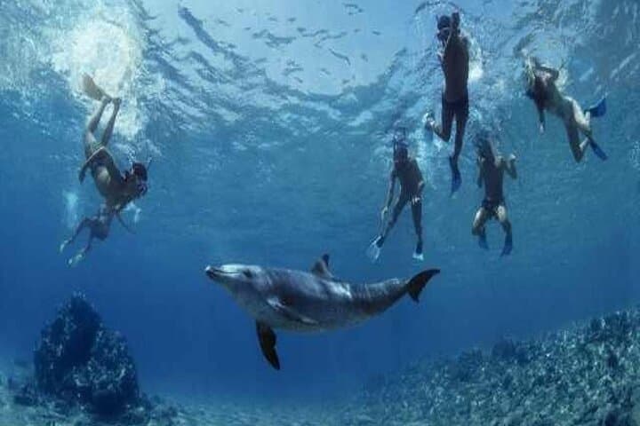 Red Sea Catamaran Snorkel Cruise to White Island and Ras Mohamed photo 4