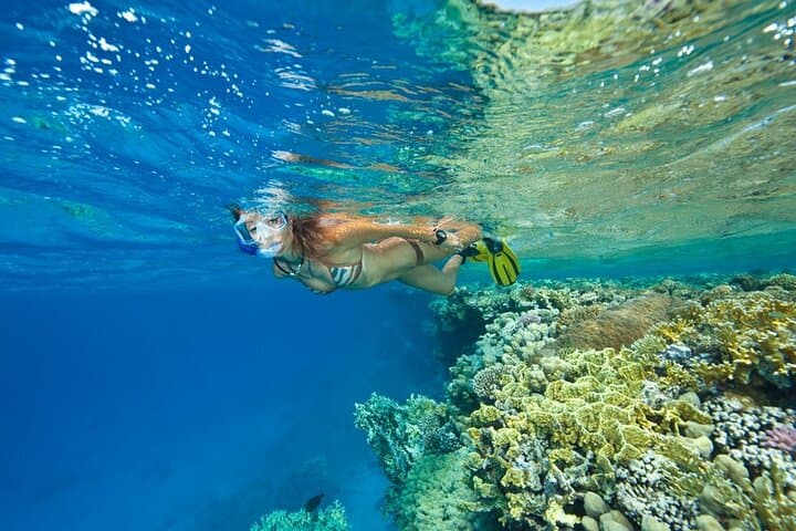 Ras Mohammed & White Island: Full-Day Red Sea Diving Excursion photo 2