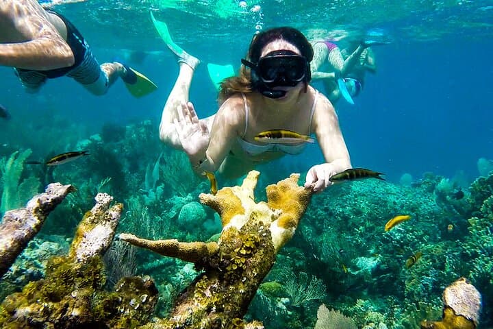 Private Guided Diving in Dahab — Blue Hole, Canyon & Lighthouse Reefs photo 3
