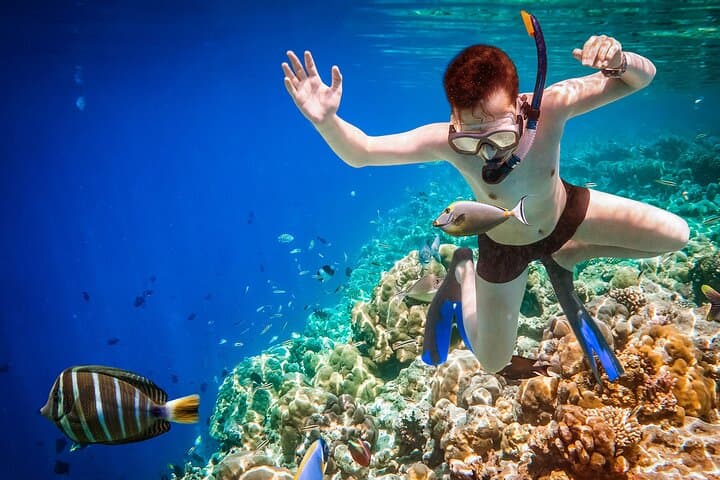 Ras Mohammed & White Island: Full-Day Red Sea Diving Excursion photo 3