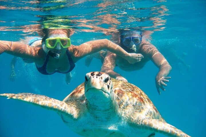 Red Sea Catamaran Snorkel Cruise to White Island and Ras Mohamed