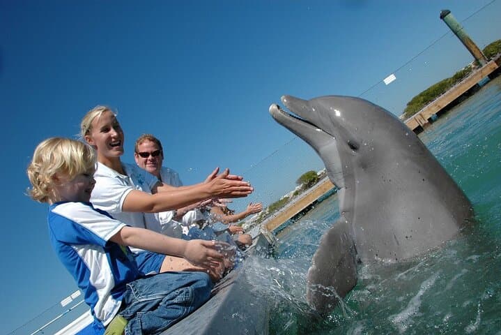 Red Sea Catamaran Snorkel Cruise to White Island and Ras Mohamed photo 2