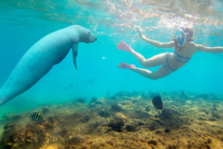 Red Sea Catamaran Snorkel Cruise to White Island and Ras Mohamed photo 3