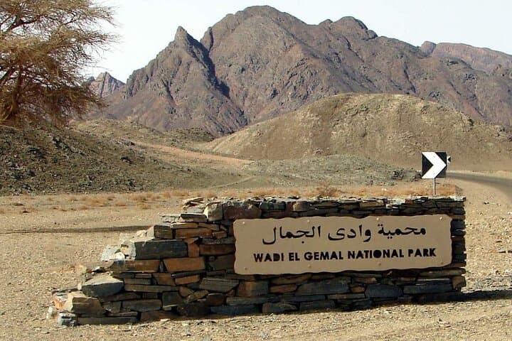 Wadi El Gemal Half-Day Desert Trek from Marsa Alam — Red Sea Desert, Ruins & Wildlife