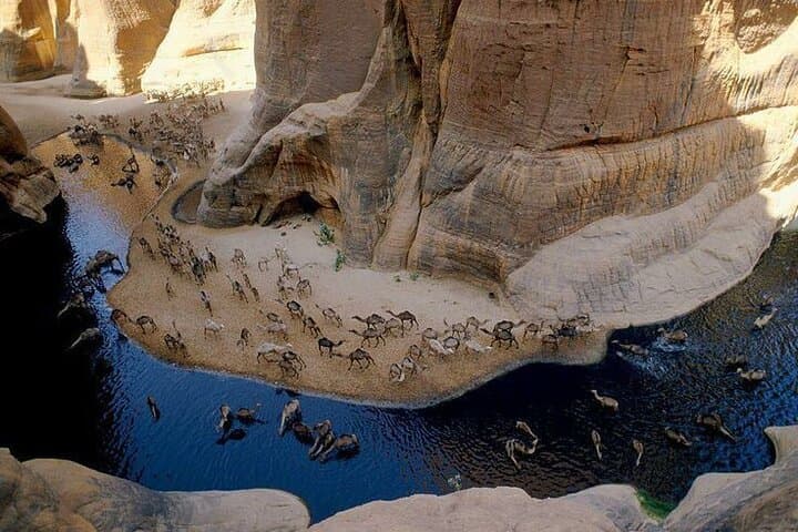 Wadi El Gemal Half-Day Desert Trek from Marsa Alam — Red Sea Desert, Ruins & Wildlife photo 6