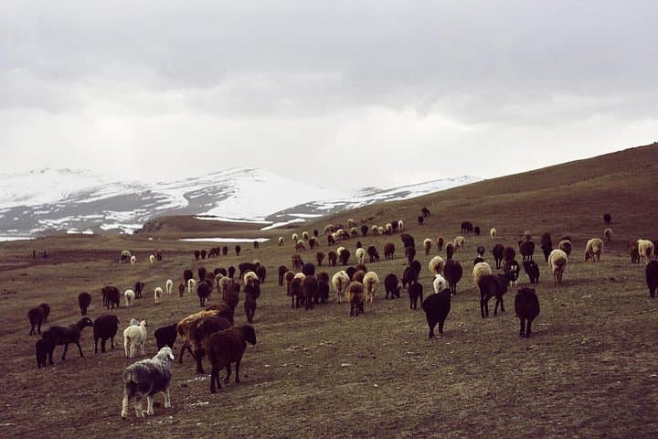 Nomad Horseback Trek to Song-Kul: 10-Day Kyrgyz Mountain Expedition