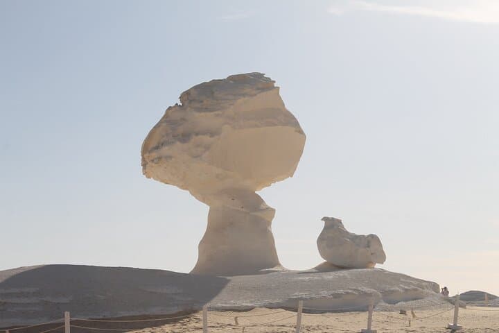 Two-Day Black & White Desert Tour from Cairo — Bahariya Oasis Camping and White Desert Wonders photo 3