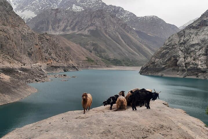 Seven Lakes (Haftkul) Day Trip from Samarkand — Private Full-Day to Marguzor & Hazorchashma photo 4