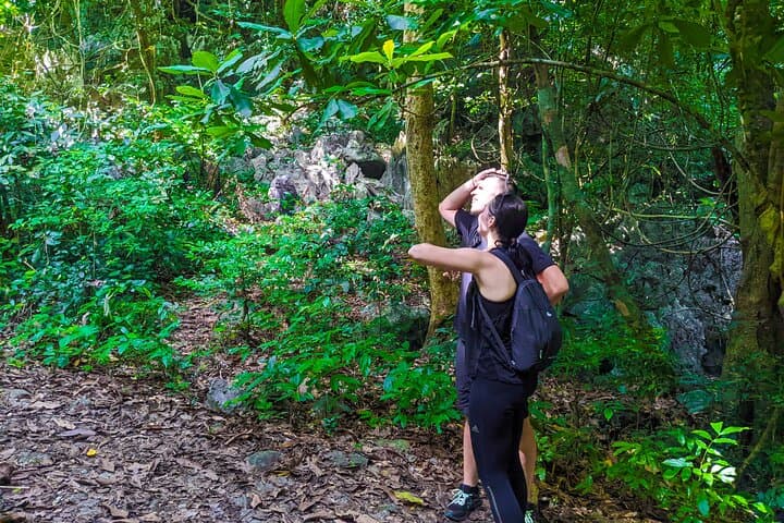 One-Day Trekking in Cat Ba National Park and Lan Ha Bay photo 2