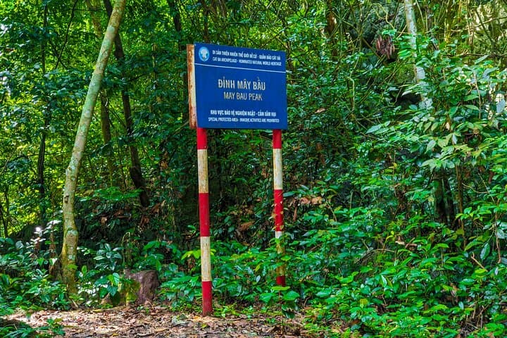One-Day Trekking in Cat Ba National Park and Lan Ha Bay photo 3