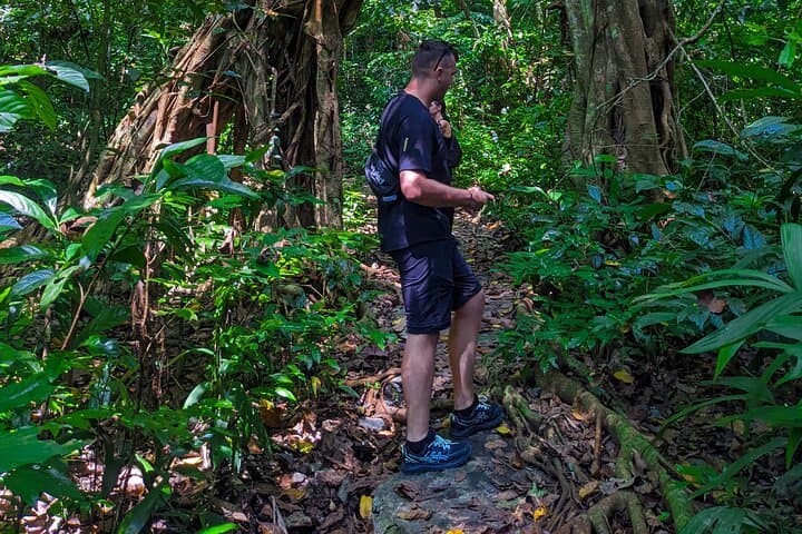 One-Day Trekking in Cat Ba National Park and Lan Ha Bay photo 4