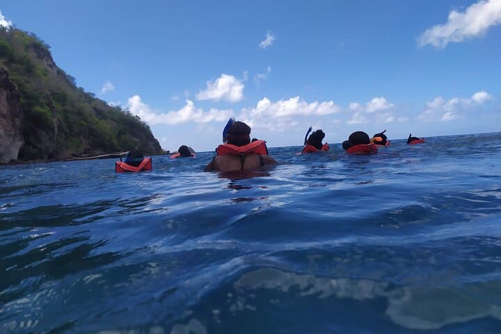 Champagne Reef Snorkeling: Guided Snorkel Tour from Roseau, Dominica photo 2