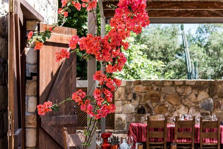 Manousakis Winery Shuttle — Chania Wine Tasting & Countryside Drive photo 4