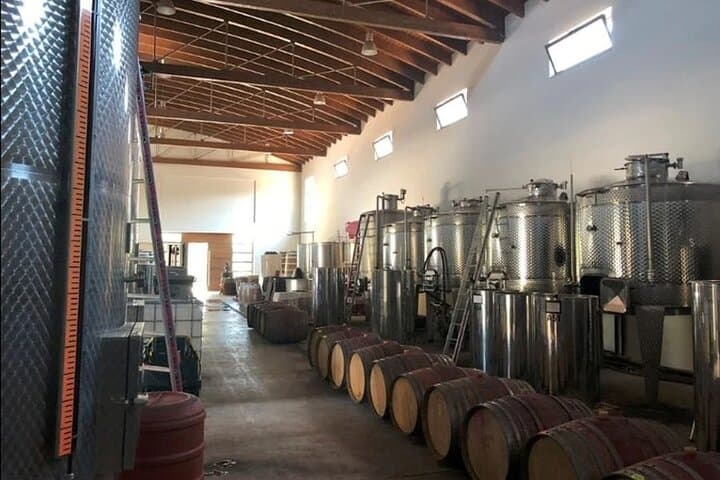 Manousakis Winery Shuttle — Chania Wine Tasting & Countryside Drive photo 6