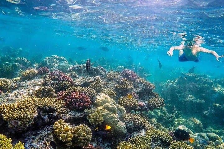 Eden Island Full-Day Boat Trip from Hurghada: Snorkel the Red Sea photo 4