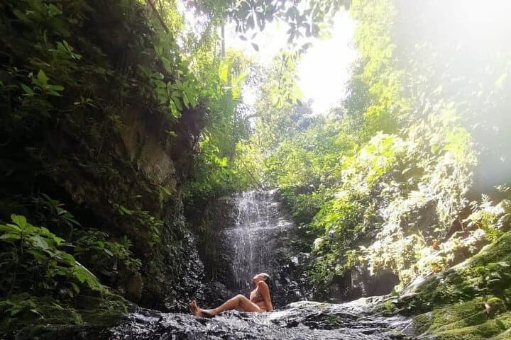 Taman Negara Rainforest Day Tour from Kuala Lumpur — Canopy Walks, Orang Asli Village & Batu Caves photo 2