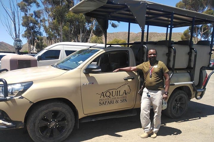 Aquila Big Five Safari Near Cape Town: Full-Day Game Drive & Optional Wine Tasting photo 1