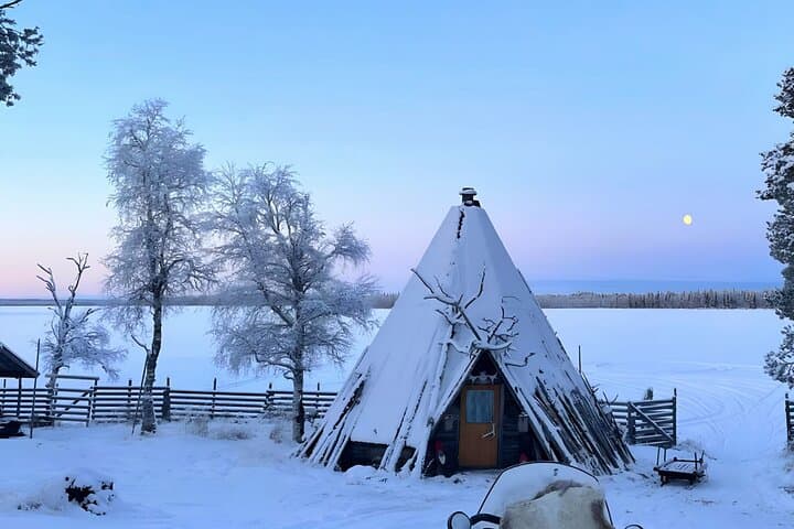 Levi Reindeer Safari: Sledge Ride and Reindeer Farm Visit in Lapland photo 3