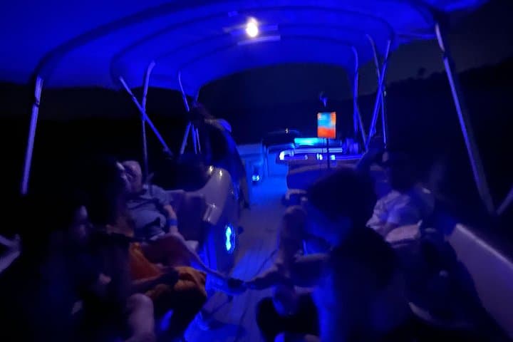Naples Holiday Light Cruise: Sunset & Port Royal Private Pontoon Tour photo 3