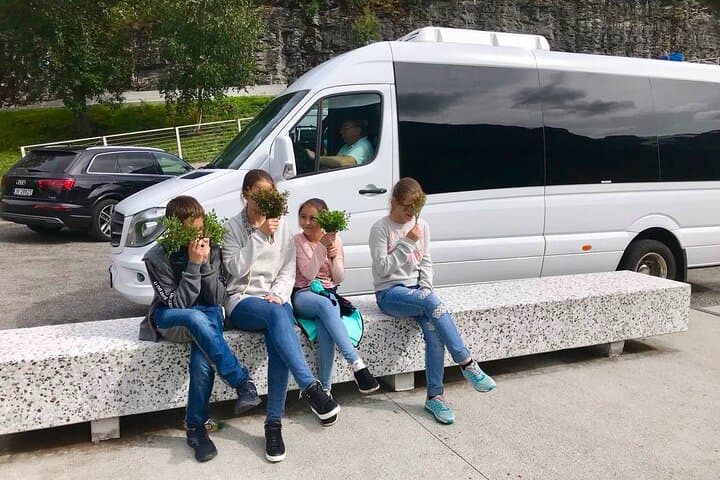 Geiranger Private Panoramic Minibus Tour — Eagle Road, Waterfalls & Fjord Views