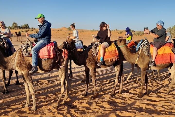 Merzouga Luxury Bivouac: Sunset Camel Trek & Stargazing at Erg Chebbi