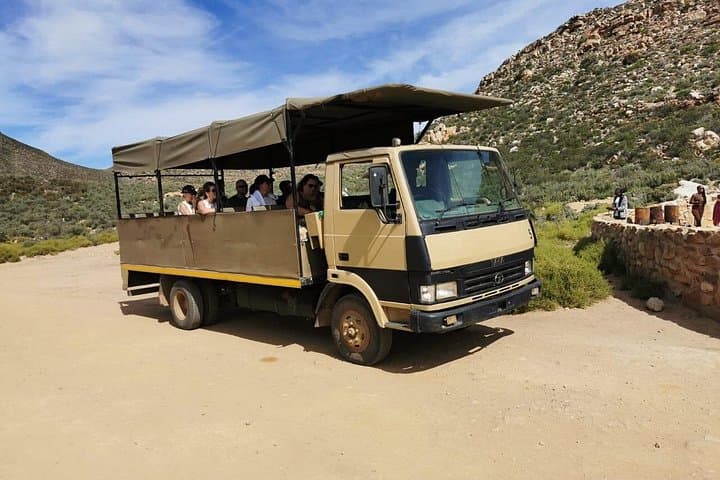 Aquila Big Five Safari Near Cape Town: Full-Day Game Drive & Optional Wine Tasting photo 4
