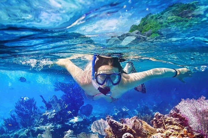 Saona Island Day Trip from Punta Cana — Snorkeling, Natural Pools & Beach Lunch photo 1