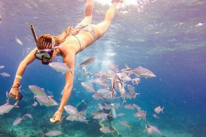 Saona Island Day Trip from Punta Cana — Snorkeling, Natural Pools & Beach Lunch photo 2