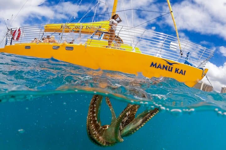 Private Swim and Sail Charter from Kewalo Harbor — Two-Hour Snorkel & Sightseeing Cruise
