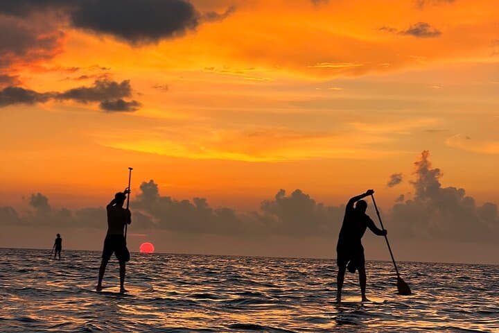 Sunrise Stand Up Paddle in Cancun — Private SUP Lesson on a Sargassum-Free Beach