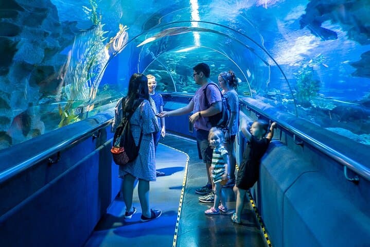 Aquaria KLCC Admission with Return Transfer — Kuala Lumpur Aquarium Experience photo 2