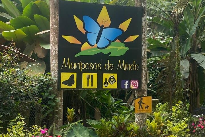 Mindo Cloud Forest Day Trip: Birding, Butterfly Garden, Canopy & Chocolate photo 2