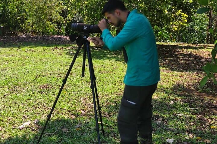 Hiking and Birdwatching in Nosara Biological Reserve — Guided 90–120 Minute Nature Walk photo 1