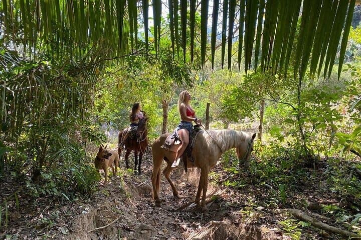 Custom Horseback Tours in Mismaloya: Romantic Riding, Waterfalls & Beach Lunch photo 2