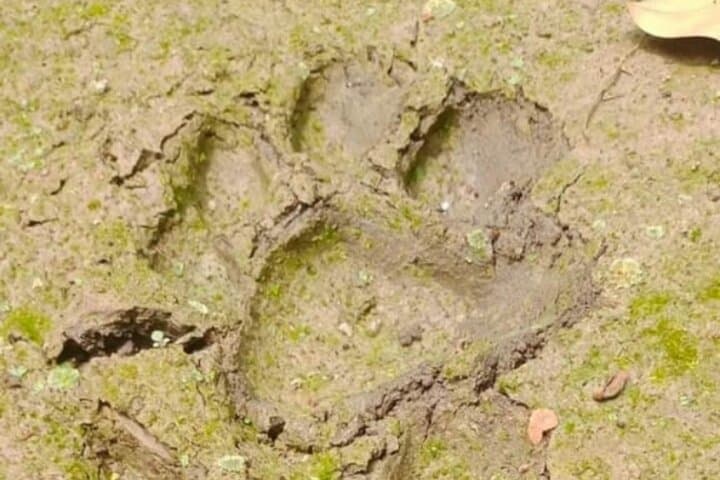 Chitwan National Park Campfire Night from Madi — Jungle Camping & Waterfall Swim photo 5