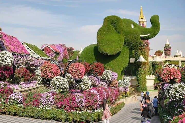 Skip-the-Line Dubai Miracle Garden Tickets with Private Transfer photo 3