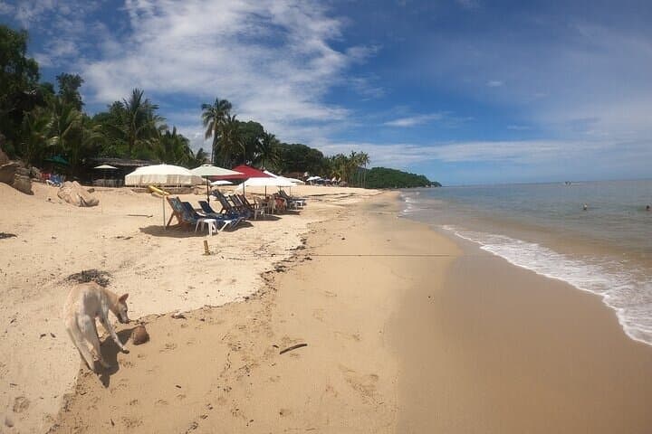 Custom Horseback Tours in Mismaloya: Romantic Riding, Waterfalls & Beach Lunch photo 5