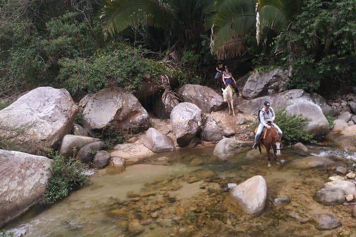 Custom Horseback Tours in Mismaloya: Romantic Riding, Waterfalls & Beach Lunch photo 6