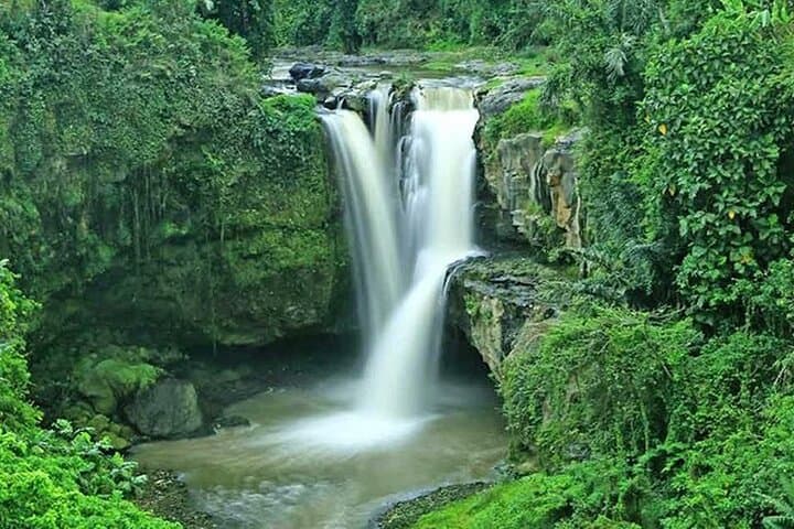 Private Driver Hire in Bali — Ubud Day Tours to Tegalalang, Temples & Waterfalls photo 2