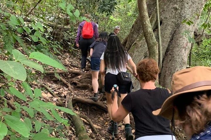 Lake Duluti Private Canoe, Cycle, Coffee & Hike — Day Tour from Arusha photo 6