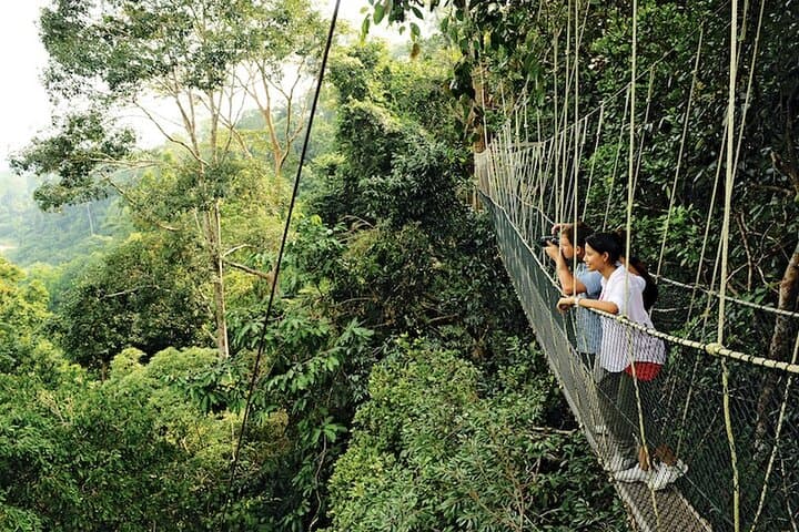 Taman Negara Rainforest Day Tour from Kuala Lumpur — Canopy Walks, Orang Asli Village & Batu Caves