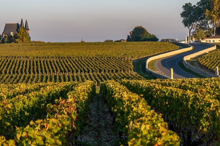 Private Médoc Wine Tour from Bordeaux: Château Visits & Tastings in the Médoc