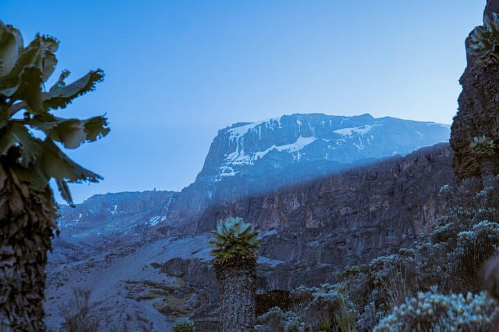 6-Day Machame Route Kilimanjaro Climb — Private Guided Summit from Moshi
