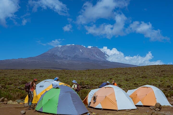 6-Day Machame Route Kilimanjaro Climb — Private Guided Summit from Moshi photo 4